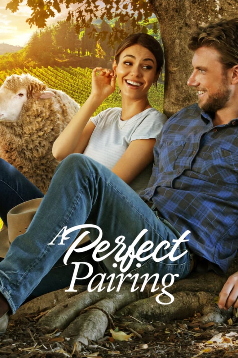 A Perfect Pairing (2022) คู่นี้… คือเพอร์เฟค
